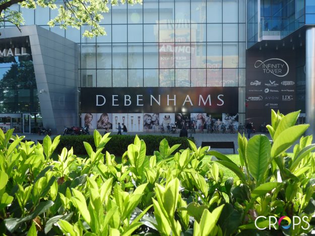 Branding of showcases – Debenhams