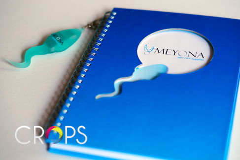 Notebooks