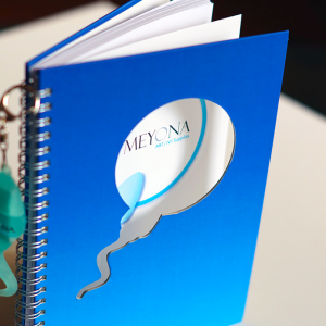 Notebooks
