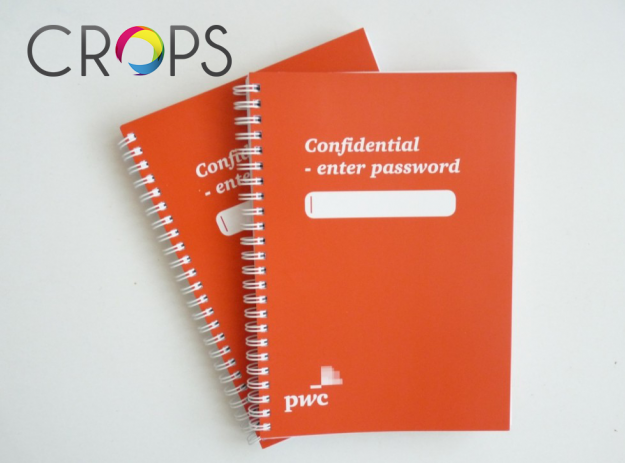 Original business notebooks